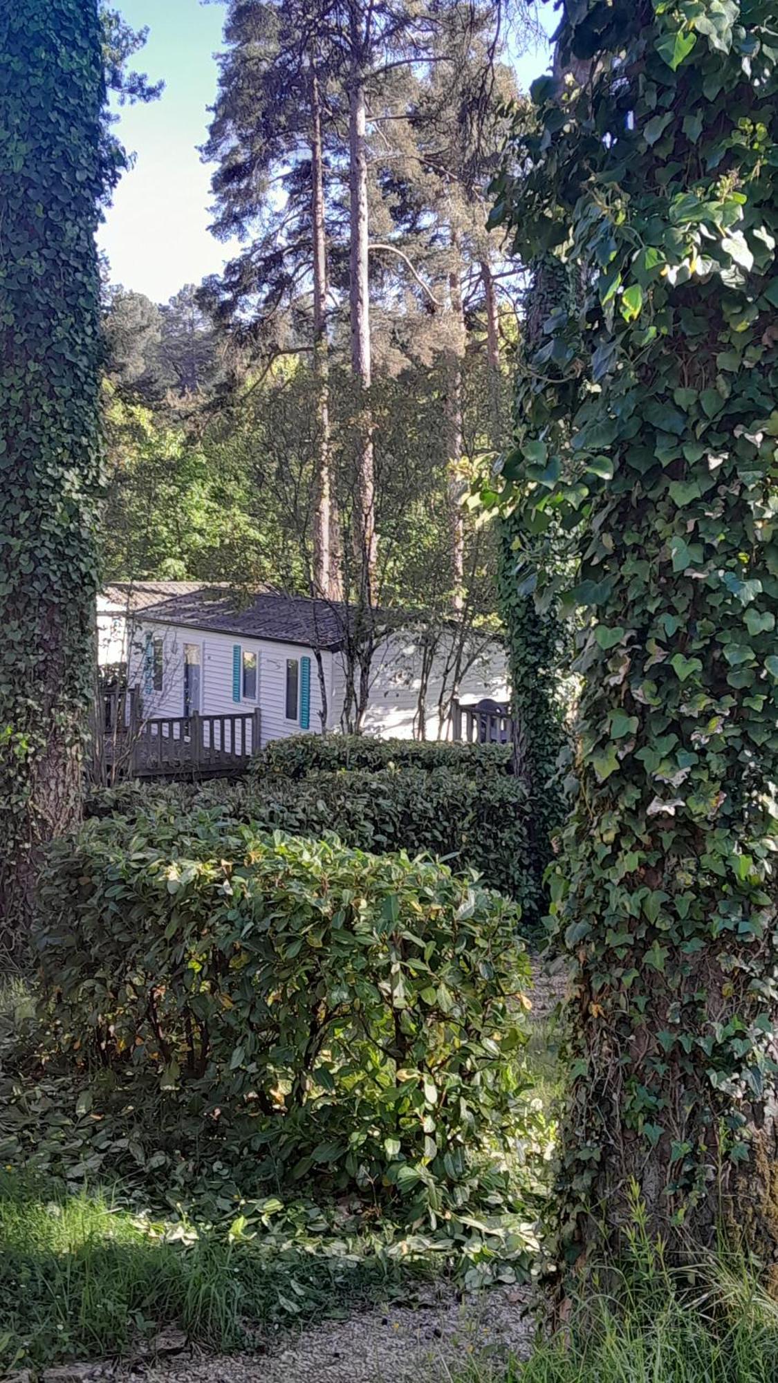 Camping 46 Rainettes Goujounac Esterno foto